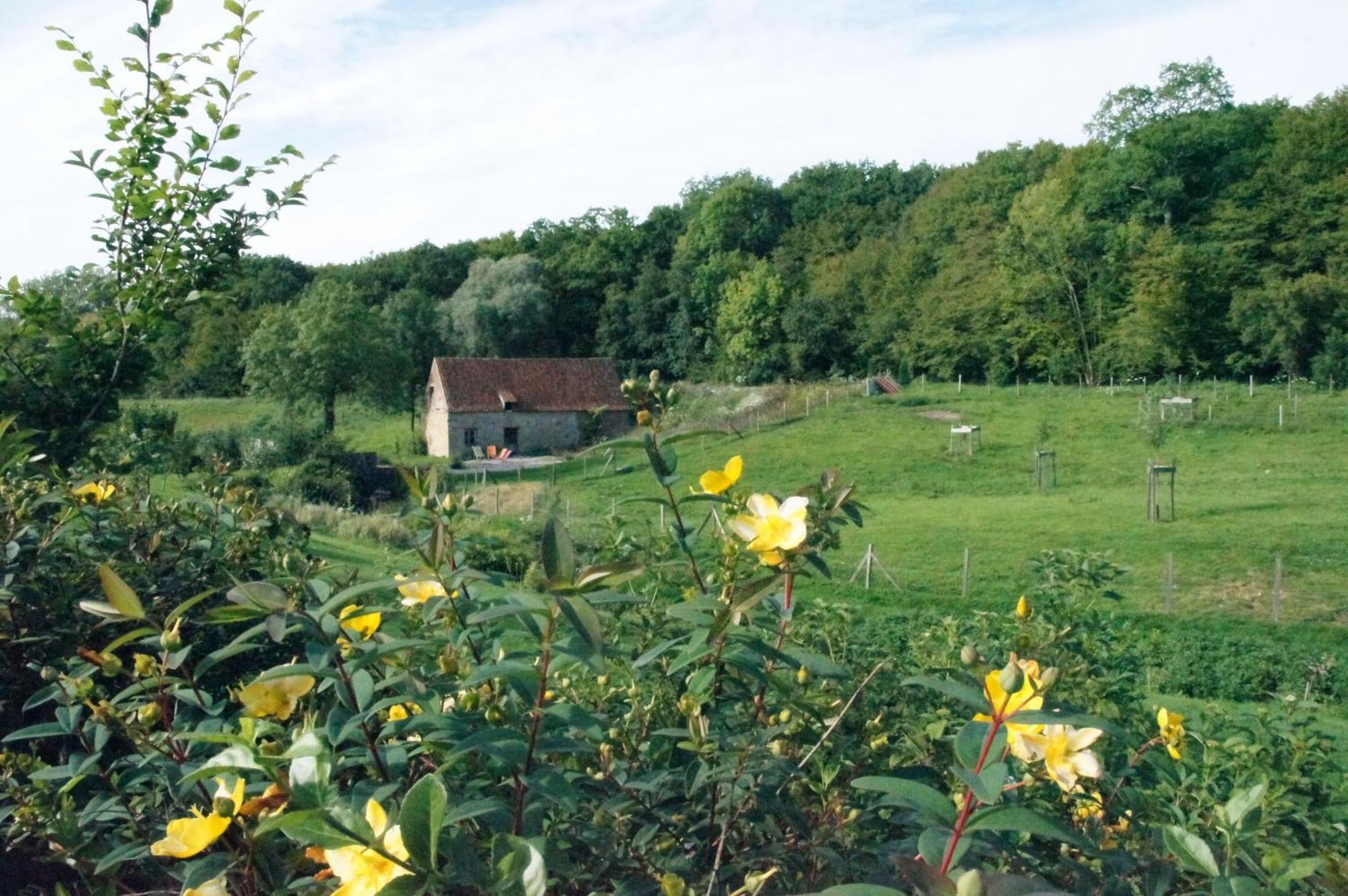 Hotel Du Moulin Aux Draps Desvres Екстериор снимка